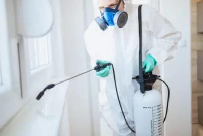 Professionnel du traitement contre les insectes nuisibles