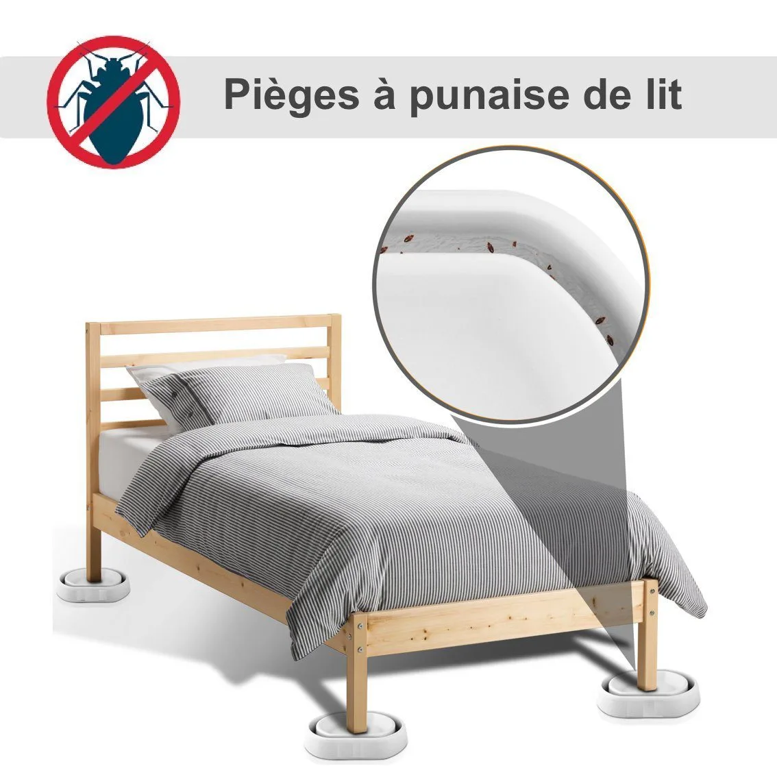 Les pièges punaise de lit.