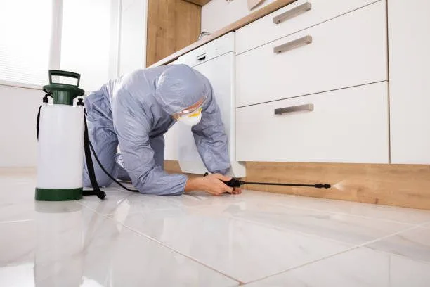 professionnel-punaise-de-lit un professionnel contre l'infestation de votre hébergement par la punaise de lit