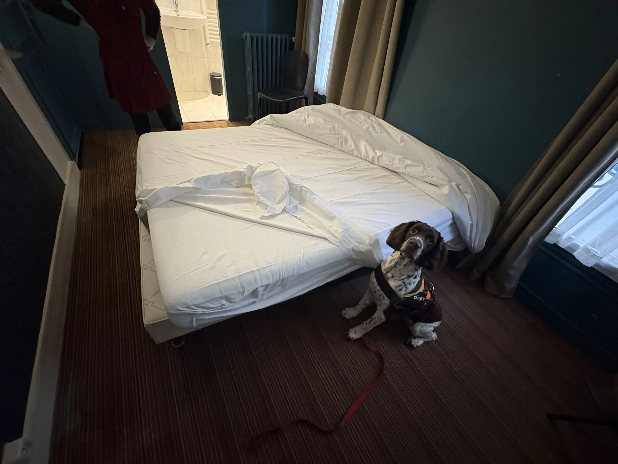 détecter la présence de punaises de lit chez soi.