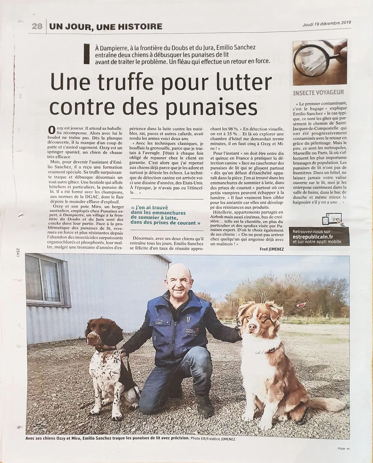 article punaises
