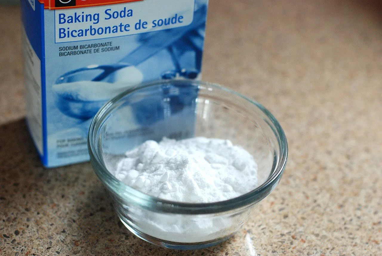 utiliser du bicarbonate contre les punaises de lit