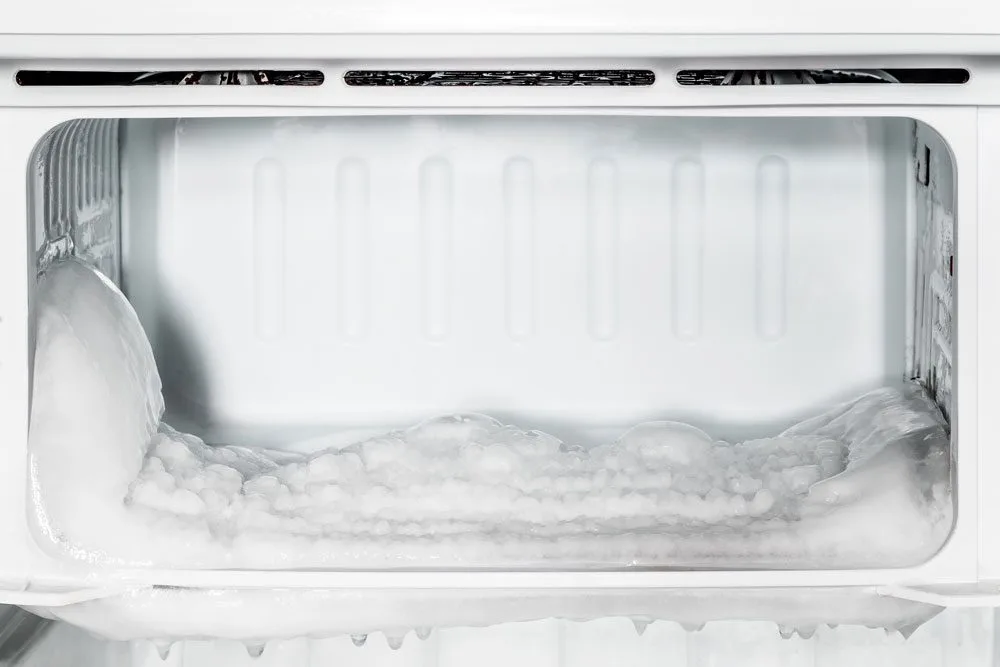 traitement punaises de lit froid