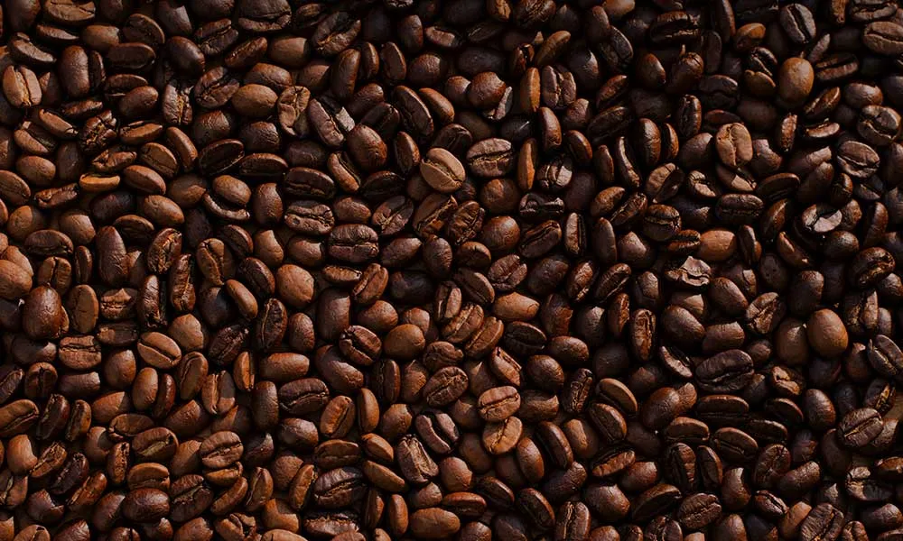 le cafe contre les punaises de lit
