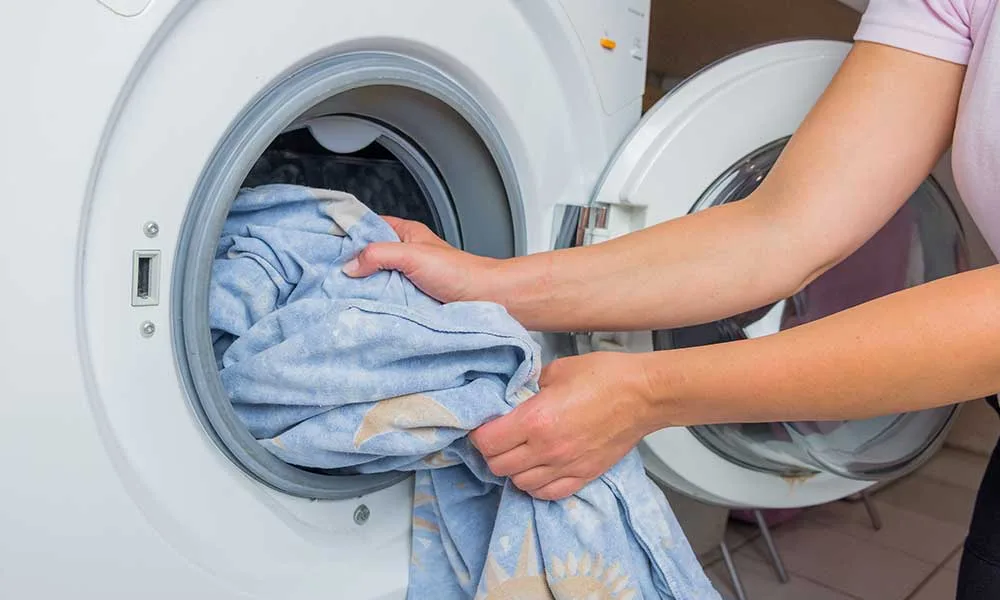 comment tuer les punaises de lit pour toujours