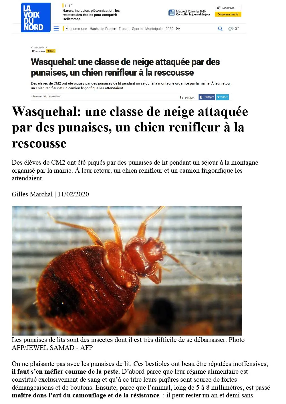punaises expert la voix du nord