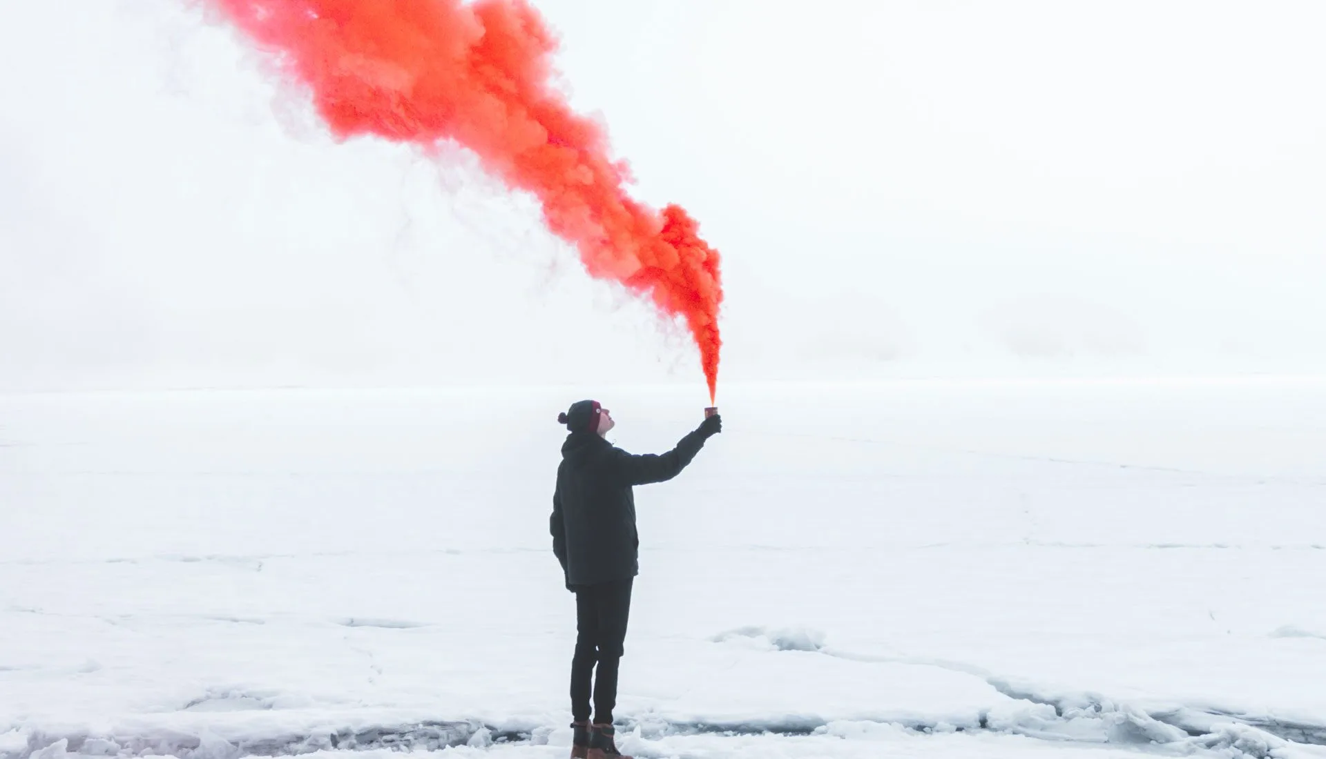 traitement fumigene punaise de lit