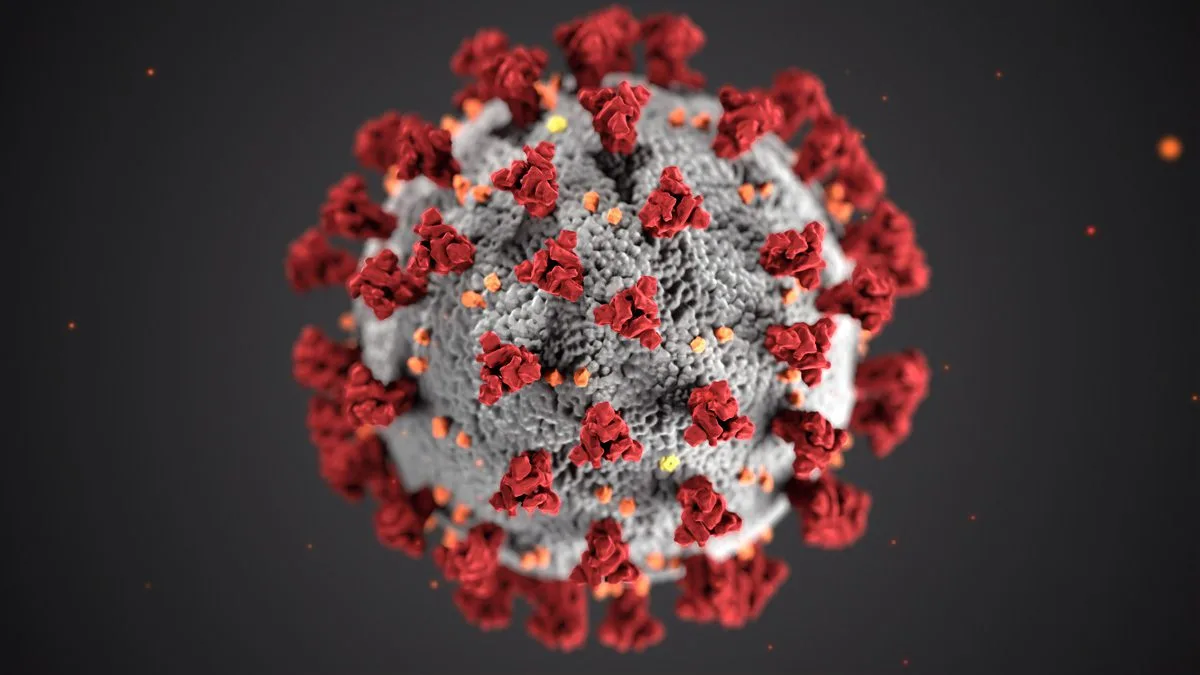 photographie d'un virus prise depuis un microscope
