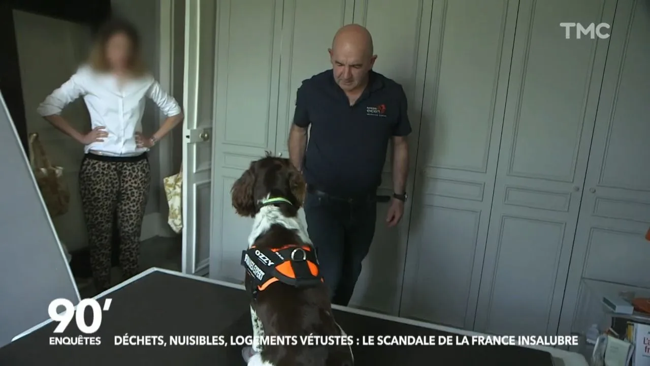 Reportage TV Punaises Expert