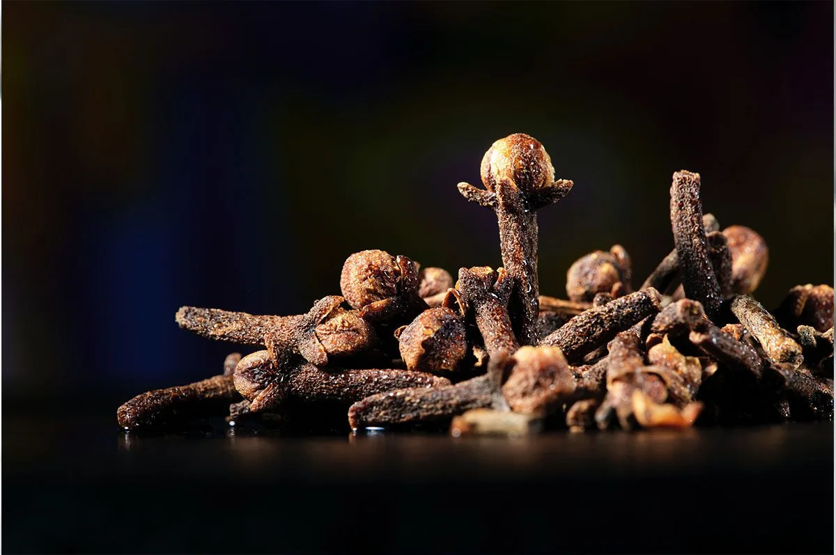 REPULSIFS NATURELS PUNAISE DE LIT