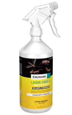 Laque punaise de lits Digrain Laque Choc 1L avec gâchette
