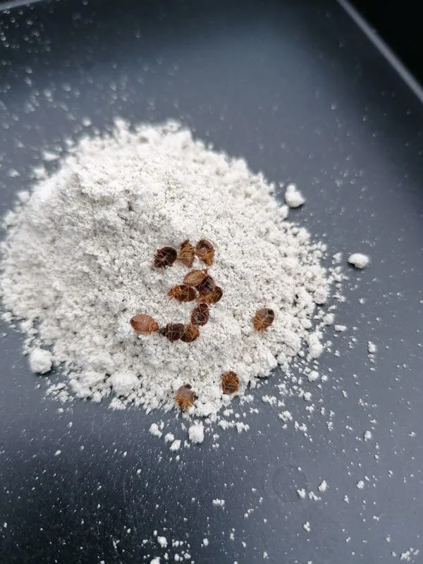 terre de diatomee et punaises de lit Terre de diatomée punaise de lits Aérosol Digrain 500ml – Image 2