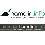 Hamelin web
