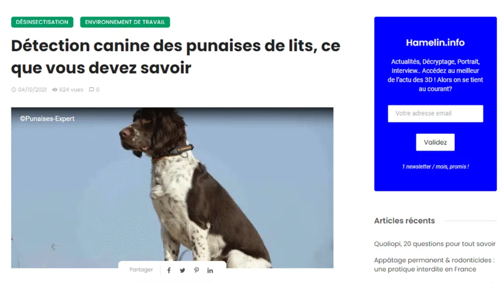 Reportage Punaises Expert Hamelin