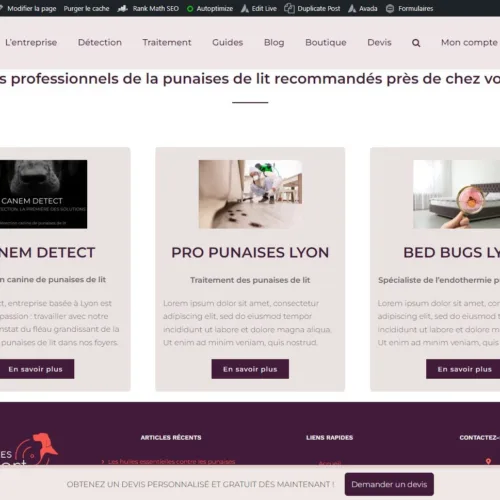 Copie d'écran de l'encart publicitaire sur Punaises Expert