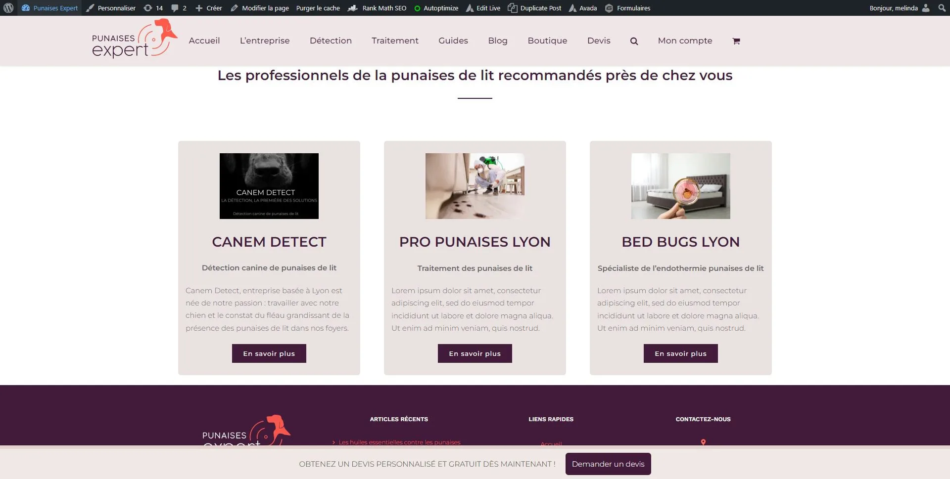 screen pub Copie d'écran de l'encart publicitaire sur Punaises Expert