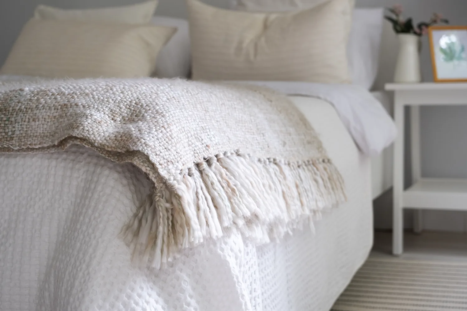 Les idees recues sur les punaises de lit