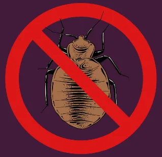 Capture d’écran 2024-10-28 143841 Illustration d'une punaise de lit barrée par un cercle rouge indiquant une interdiction