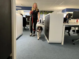 Dresseur et chien détecteur de punaises de lit en intervention dans une entreprise.