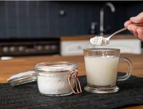 La terre de diatomée : tout ce qu’il faut savoir sur cette poudre naturelle