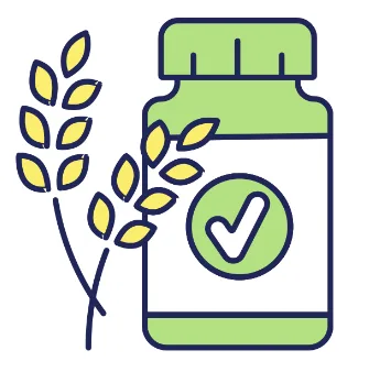 Capture decran 2024 11 14 154521 Illustration d'une bouteille avec un épi de blé symbolisant un produit naturel.