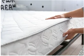 Capture decran 2024 11 26 093227 Inspection d'un matelas pour rechercher des punaises de lit.