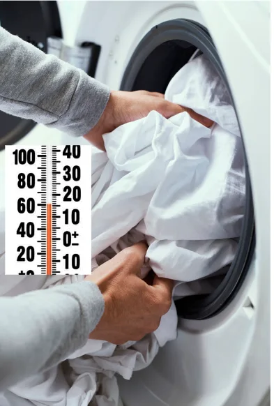 Capture decran 2024 11 26 110836 Lavage en machine à haute température pour éliminer les punaises de lit.
