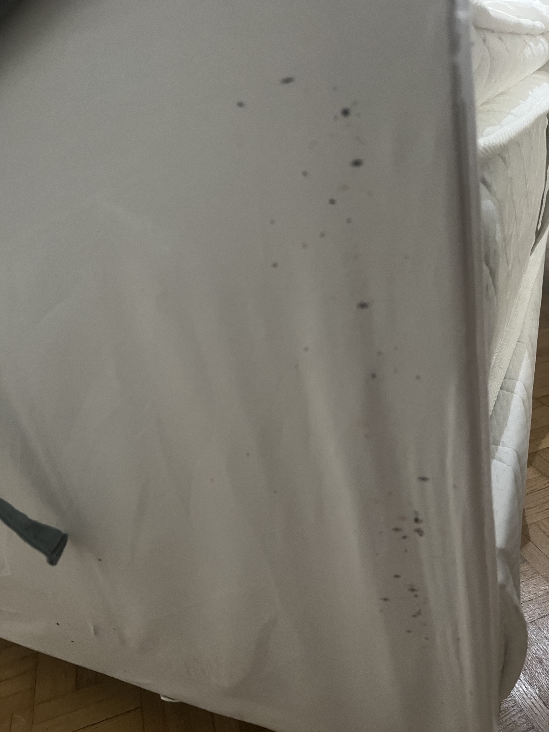 Taches sombres sur le côté d'un matelas, signe d'infestation par des punaises de lit.