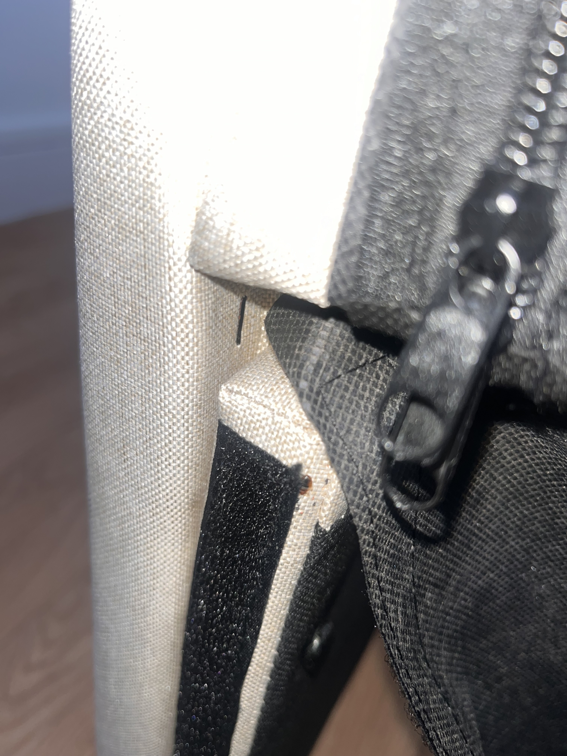 Gros plan d'une fermeture éclair sur un matelas infesté de punaises de lit.