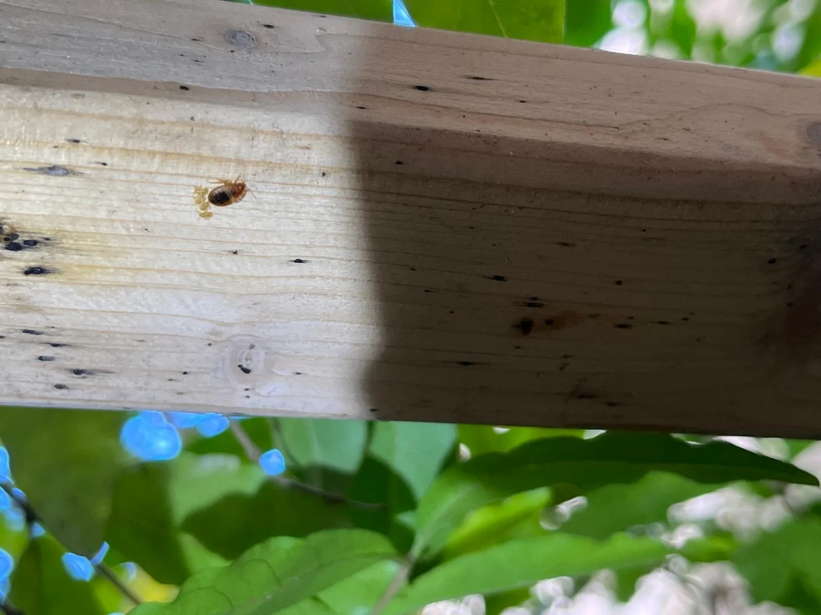 PHOTO 2024 11 14 12 34 01