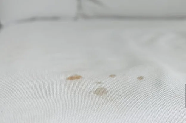 Taches de sang sur un matelas, signe d'une infestation de punaises de lit.