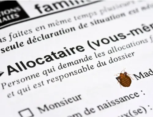 L’aide CAF punaise de lit : une aide financière parmi d’autres