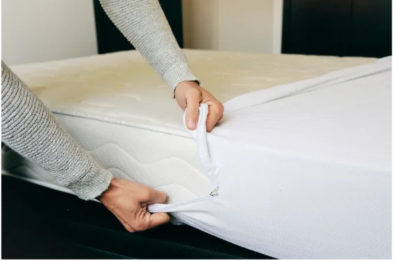 Housse de matelas anti-punaises de lit en cours d'installation.