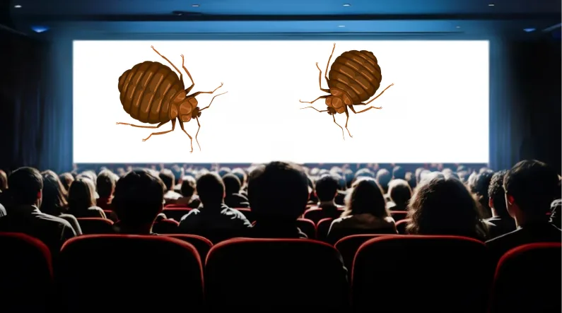 llustration humoristique montrant des punaises de lit sur un écran de cinéma.
