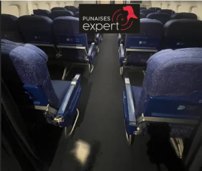 Sièges d’avion vides avec un logo « Punaises Expert » en surimpression, représentant un contrôle des punaises de lit dans les avions.
