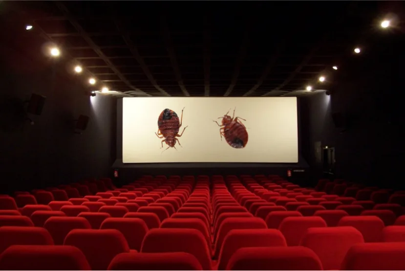 Cinéma à Paris : comment éviter les punaises de lit
