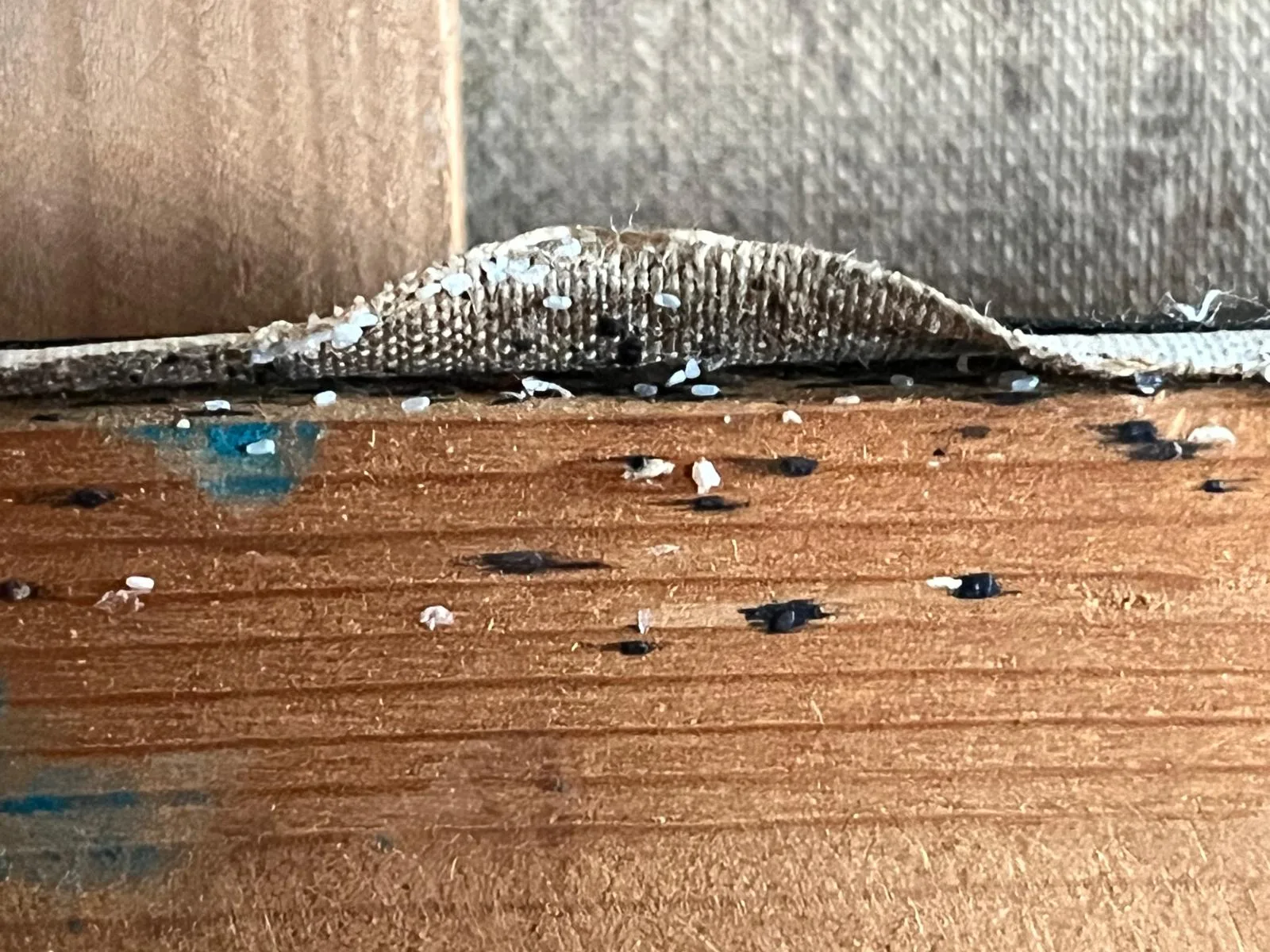 PHOTO 2024 11 14 12 30 30
