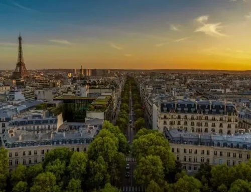 Traitement punaise de lit Paris : tout savoir sur les traitements de punaises