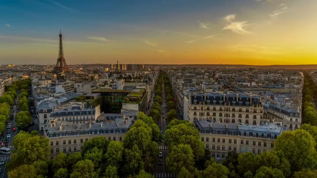Traitement punaise de lit Paris