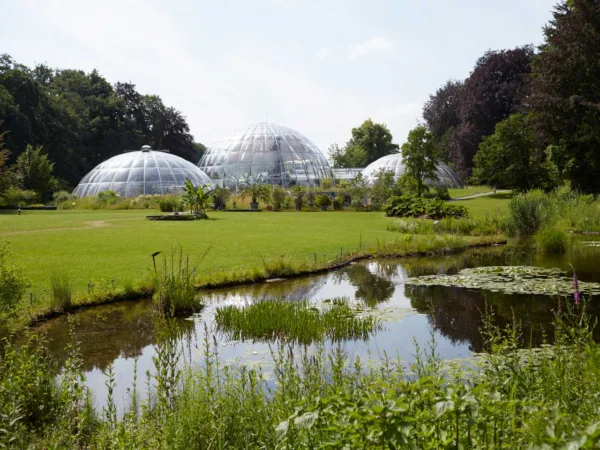 web zurich botanischer garten 01 0 Vue d'un jardin botanique avec des serres géodésiques en verre, entourées de pelouses et d'un étang.