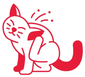 Illustration d'un chat qui se gratte en raison de démangeaisons possibles.