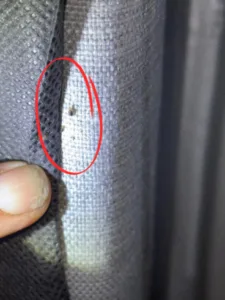 Inspection des rideaux pour détection de punaises de lit Trace de punaise de lit sur un rideau gris, repérée avec une loupe.