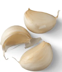 Gousses d’ail fraîches idéales pour la cuisine et la santé. gousse d'ail