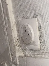 Traces de punaises de lit autour d’une prise murale. Infestation de punaises de lit autour d’une prise électrique.