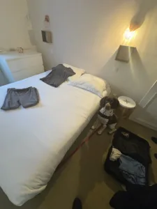 Recherche de punaises de lit dans une chambre d’hôtel. Détection canine de punaises de lit dans une chambre infestée