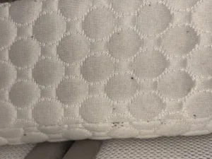 Signes d’infestation : taches noires laissées par les punaises de lit sur un matelas Taches noires et signes de punaises de lit sur un matelas