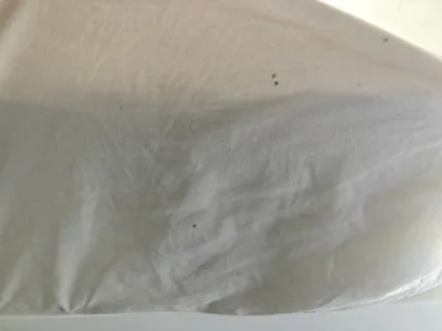 Petites taches noires sur un drap, signes de présence de punaises de lit.