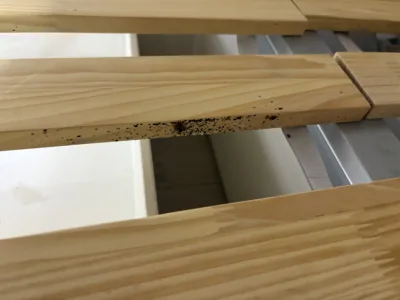 Traces noires laissées par les punaises de lit sur un sommier en bois.