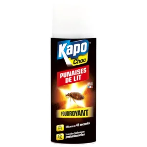 Aérosol insecticide Kapo Choc foudroyant contre les punaises de lit.