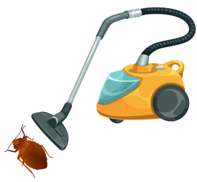 Aspirateur en train d’éliminer une punaise de lit